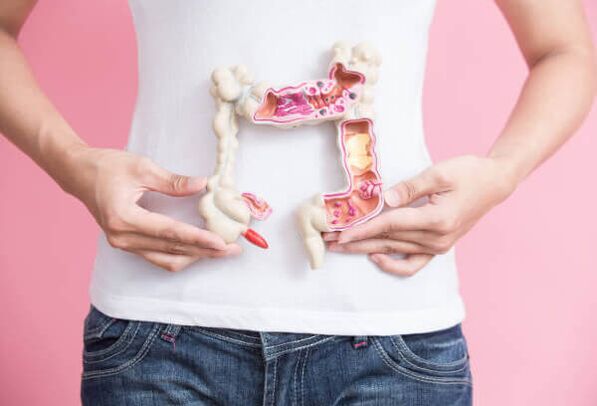 Il funzionamento dell'intestino